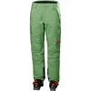Helly Hansen Switch Cargo Insulated Pants Women jade 2.0