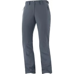 Salomon The Brilliant Pants Women ebony