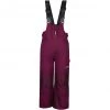 TROLLKIDS Nordkapp Pants Kids plum